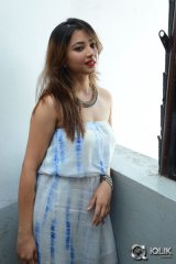 Shweta Basu Prasad at Intelligent Idiots Movie Press Meet